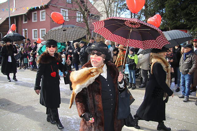 Bild 7: Bilder zum Narrentreffen in Schwerzen (1)