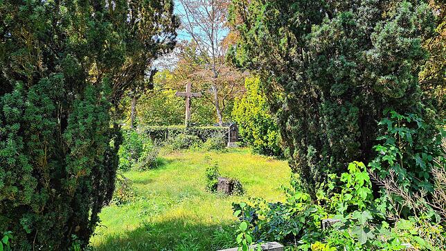 Im Dornröschenschlaf: Der alte Friedhof in Warmbach wurde vor 50 Jahren außer Dienst gestellt. Bild: Stefan Ammann