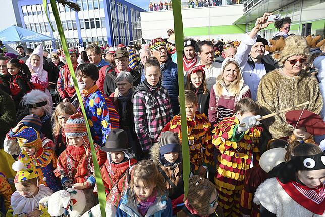 Bild 7: Bilder vom Kinderbaumstellen