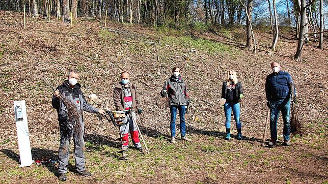 Eine der Pflanz-Gruppen von Fraktion und Stadtverband der CDU Radolfzell im Waldgebiet am Kühbühl im Ortsteil Liggeringen (von links): ...