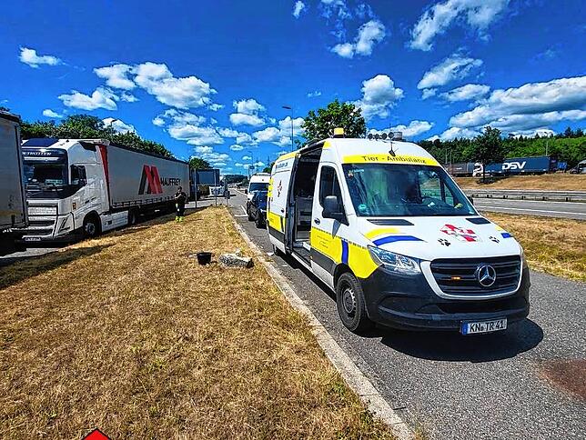 Die Tierrettung hat des Öfteren Einsätze auf der Autobahn.