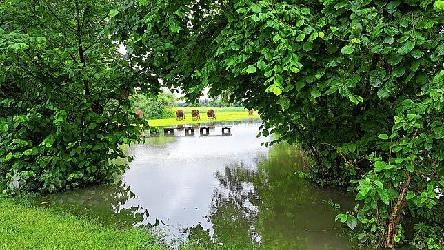Bild 10: Unwetter am Bodensee: Die Folgen rund um Markdorf aus