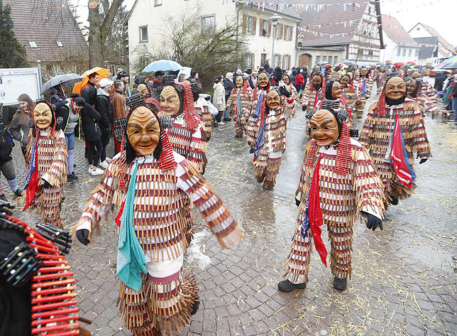 Bild 15: Bilder zum großen Narrentreffen in Pfohren (2)