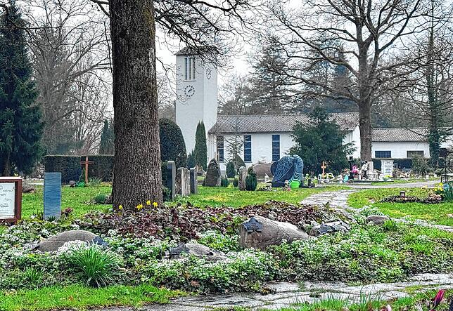 Moderne Art des Urnengrabes: Baumgrabfelder wie hier auf dem Radolfzeller Waldfriedhof, sind sehr beliebt.
