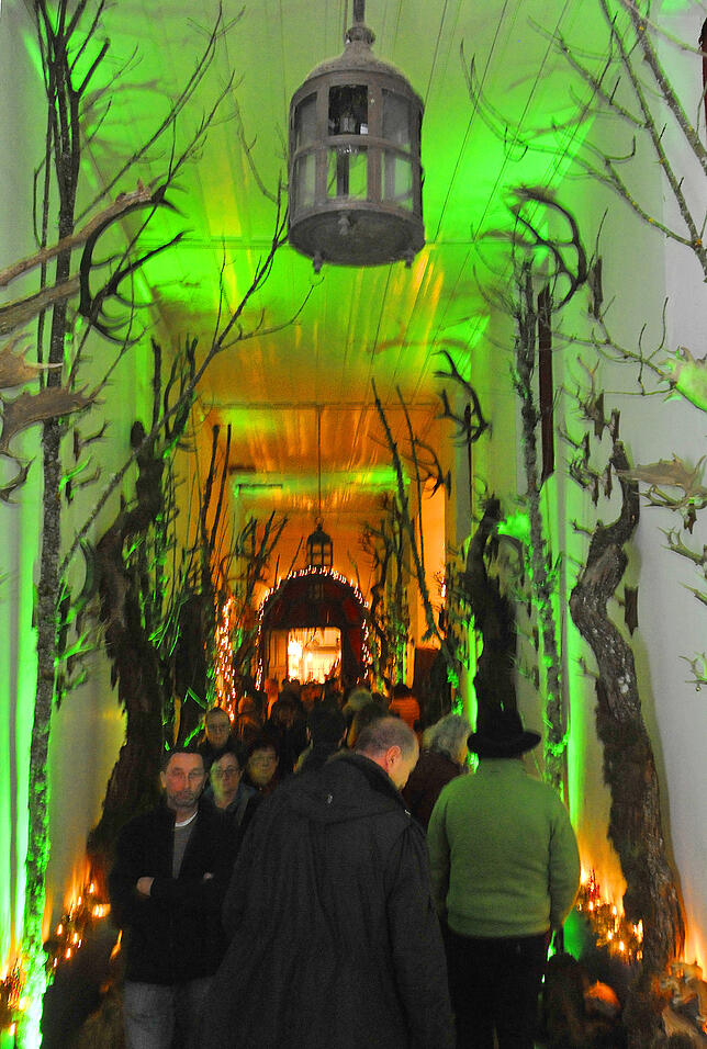 Nur eines der vielen "Deko-Hingucker" bei der Fürstenberg Weihnachtswelt: Der effektvoll beleuchtete Gang zur Anspannhalle.
