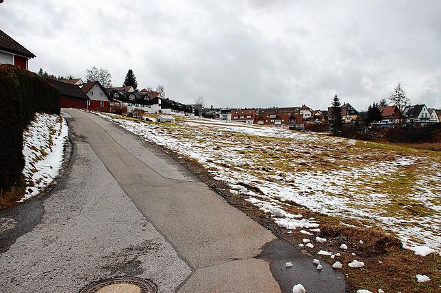 Auf dieser Fläche soll Bauland entstehen. Auf dem Bild verläuft die Straße zwischen Goethe- und Gerhart-Hauptmann-Straße.