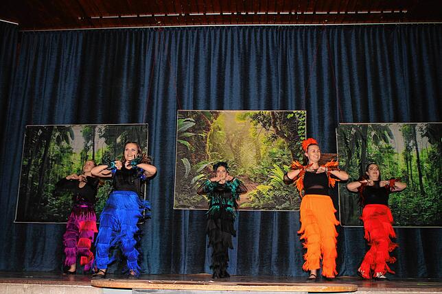 Bild 4: Bunter Abend in Orsingen: Alle Bilder der Fasnacht 2025