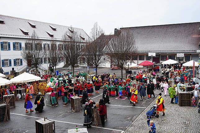Bild 4: Die schönsten Bilder der Party in Hagnau zu &bdquo;111 Jahre Narrenzunft Eule&ldquo;