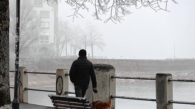 Eindrücke von der Häfler Promenade bei dichtem Nebel im Februar 2025.