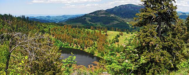 Beim Natura 2000-Gebiet „Belchen“ handelt es sich um ein Fauna-Flora-Habitat (FFH)-Gebiet mit einer Gesamtfläche von 2907 ...