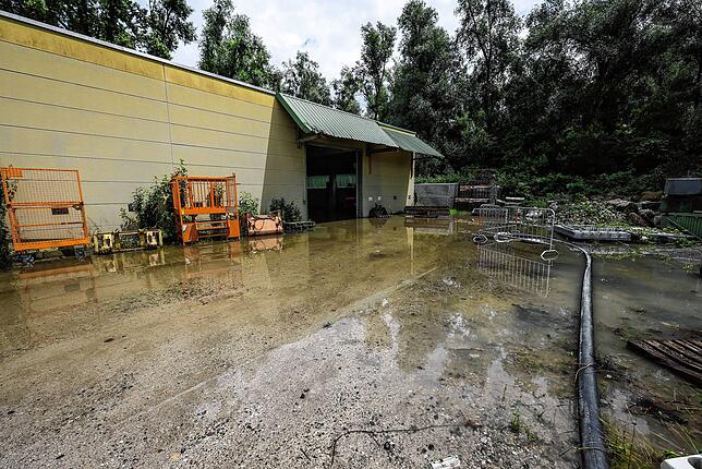 Bild 12: Abwasserkanäle kommen nicht mehr hinterher: Bilder vom heftigen Unwetter in Radolfzell