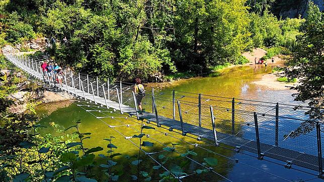 Die Überquerung der neuen Hängebrücke über die Donau war einer der Höhepunkte der Wandertour.
