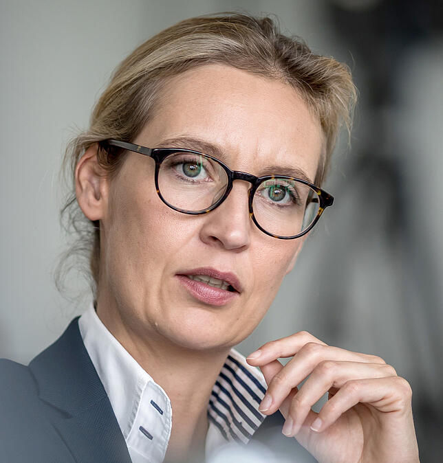 Alice Weidel