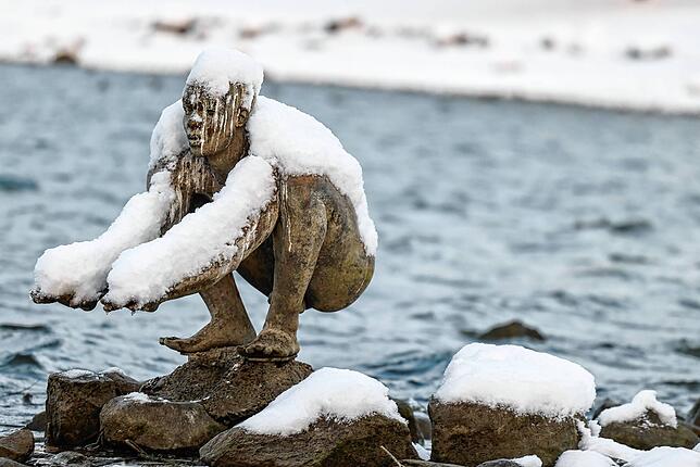 Bild 5: Wintereinbruch in Radolfzell: Die schönsten Bilder vom ersten Schnee