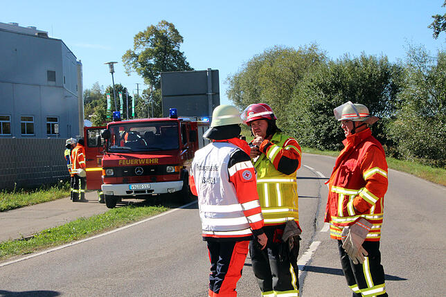 Bild 10: Bilder vom Gebäudeband beim Schwarzwaldhof in Blumberg