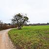 Oberhalb von Wollmatingen gibt es jetzt noch Wiesen und Felder. Hier soll mal der Hafner entstehen.