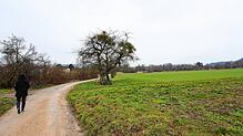 Oberhalb von Wollmatingen gibt es jetzt noch Wiesen und Felder. Hier soll mal der Hafner entstehen.