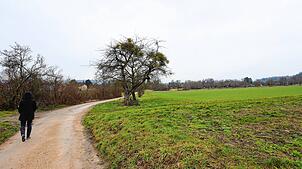 Oberhalb von Wollmatingen gibt es jetzt noch Wiesen und Felder. Hier soll mal der Hafner entstehen.
