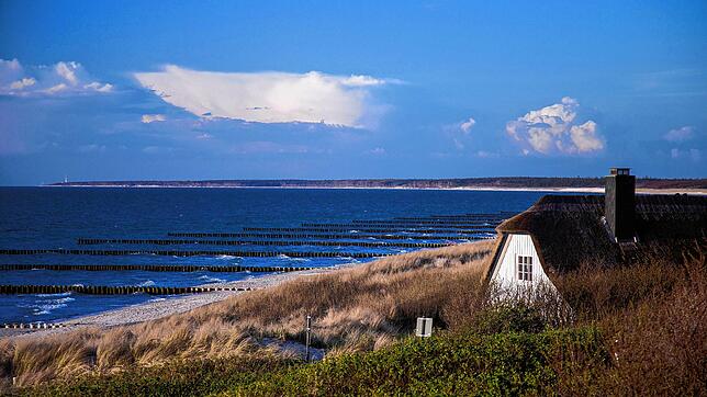 Ferienhaus auf der Halbinsel Fischland-Darß-Zingst: ein idealer Ort für literarische Konflikte.