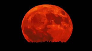 Der Erdbeermond, direkt bei seinem Aufgang vom Fürstenberg auf der Baar aus fotografiert.