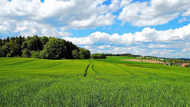 Das malerische Bild, das das Gebiet Vogelsang abgibt, könnte erhalten bleiben: Links im Bereich des Waldes kommt nun vielleicht doch ...