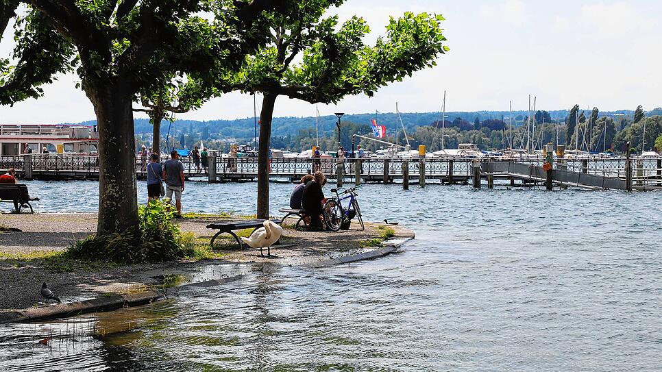 So sah es vor ein paar Wochen am Bodensee in Konstanz aus. Jetzt ist der Pegel unter die Hochwassermarke gesunken.