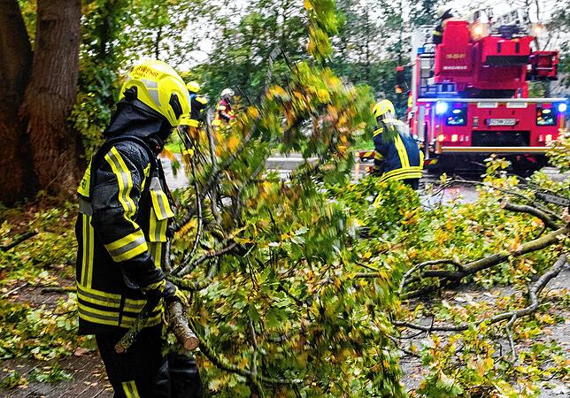 In Schleswig-Holstein räumt ein Feuerwehrmann Teile eines Baums von der Fahrbahn.