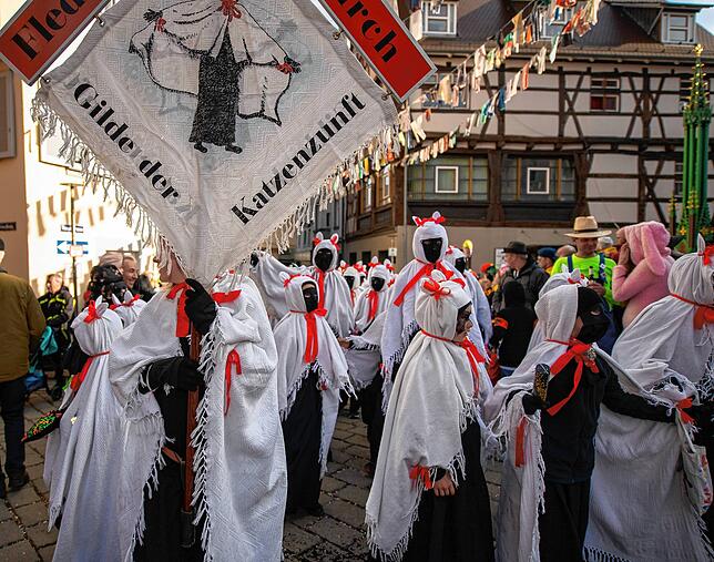 Bild 3: Bilder vom Schmotzigen Dunschdig in Meßkirch (Teil 2/3)
