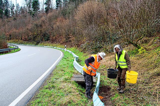 Es quakt und raschelt in den 33 Eimern hinter dem Krötenschutzzaun an der Abzweigung Rohr hinter Indlekofen. Die Ortsgruppe ...