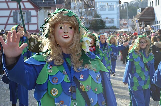 Bild 35: Eigeltinger Narrentage: Der Sonntagsumzug in Bildern (3)