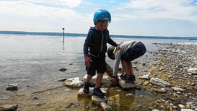 Die beiden Brüder Oskar und Theo verbringen mit der Familie viel Zeit am Bodensee. Besonders beliebt: Brücken bauen.