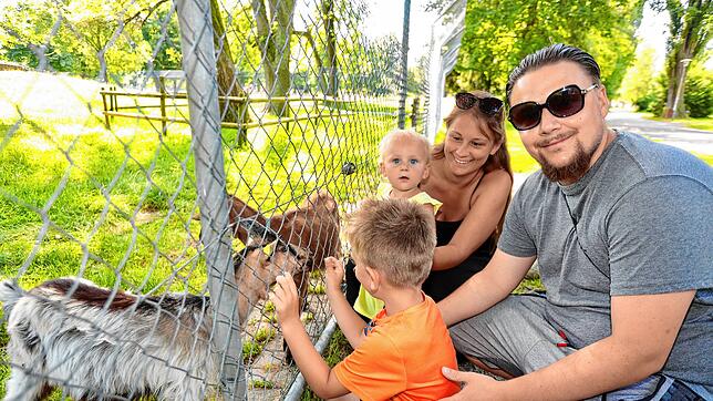 Paolo Pagliarulo und Melissa Kaufmann mit den Kindern Valentina Pagliarulo (hinten) und Alessandro Pagliarulo kommen aus Schaffhausen ...