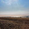 Am Strand der Insel Borkum: &bdquo;Das Hochseeklima ist rau, die Luft schmeckt salzig, die Bevölkerung wirkt friesisch-herb.&ldquo;