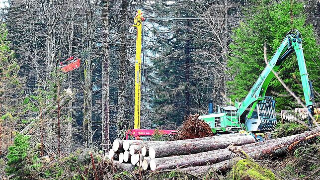 Spektakulär ist im Wald der Einsatz des Seilkrans, der mit einem Radbagger zusammenarbeitet. Er dient auch im Bereich Bregtal der ...