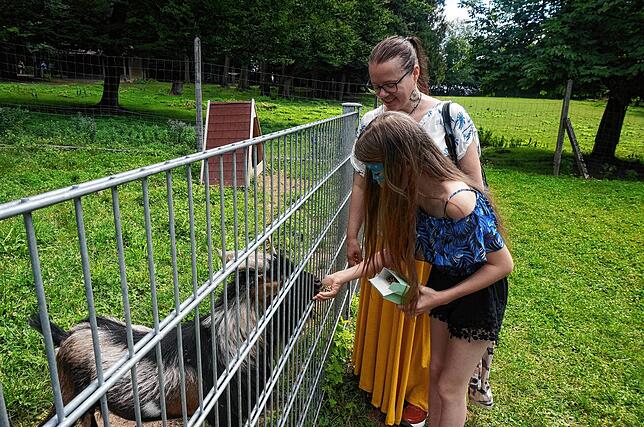 Bild 13: Alle Bilder: 50 Jahre Wildgehege Waldshut &ndash; Teil Zwei