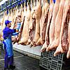 Ein Metzger zerteilt in einem Großbetrieb Schweinehälften. Von solchen Mengen sind die beiden Schlachthöfe im Landkreis weit entfernt. ...
