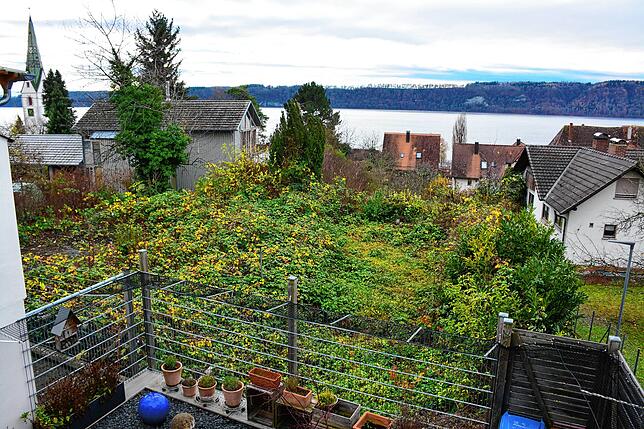 Der Blick vom Balkon des Hauses der Familie Fallier auf das Baufenster im Baugebiet Karrischergarten. Wo jetzt noch Grün wuchert, soll ...