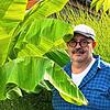 Und in Villingen wachsen eben doch Bananen: Martin Buschle, 1,90 Meter groß, mit dem über drei Meter hohen Bananenbaum.