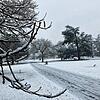 Ungewohnter Anblick: Eine Schneedecke überzieht den Herbert-King-Park.