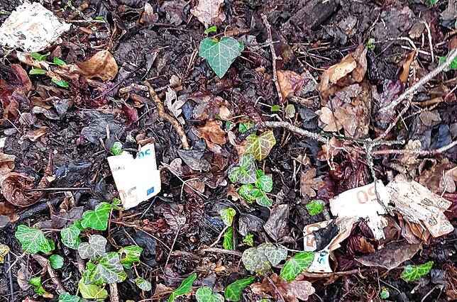 Die Beamten der Landespolizei finden die Geldscheine zwischen verwesendem Laub verstreut auf dem Gelände vor.