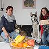 Bereits in ihrer ersten Saison gewann Jessica Paulsen (rechts) mit ihren beiden Siberian Huskys Speed (mit Medaille) und Winner die ...