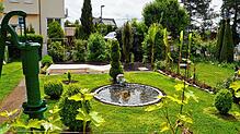&bdquo;50 Tulpenzwiebeln hätten Platz, um mehr Farbe in meinen grünen Garten zu bekommen.&ldquo; Im Garten von Erich Gundelsweiler, ...