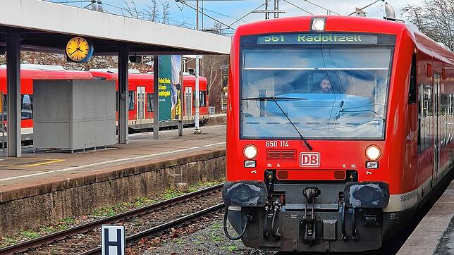 Ein Zug der Linie S61 fährt am Bahnhof in Radolfzell ein.