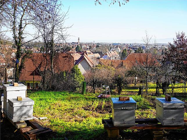 Mundolsheim hat rund 5100 Einwohner und liegt in der Nähe von Straßburg. Bild: Gemeinde Mundolsheim