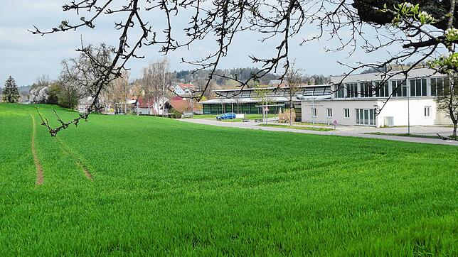 Hier auf diesem bisher landwirtschaftlich genutzten Gelände gegenüber des Hallenbades wird das neue Kinderhaus Sonnenschein in Mühlhofen ...