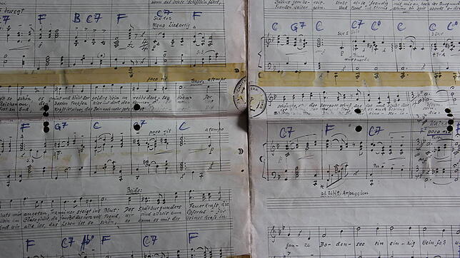 Das Notenblatt mit Text zu Willi Hermanns bekanntestem Lied "Ja, wenn der ganze Bodensee..." Es zählte bislang zum festen fasnächtlichen ...