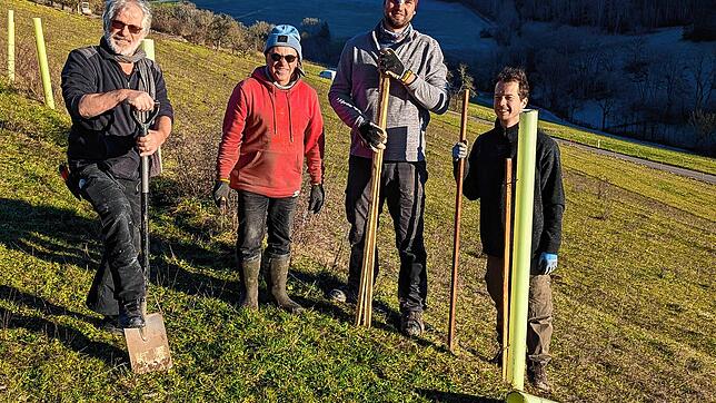 Tatkräftig packen der Landwirt Michael Amann-Möhringer und die Helfer bei der Pflanzaktion in Stühlingen-Oberwangen an. Bild: unique ...