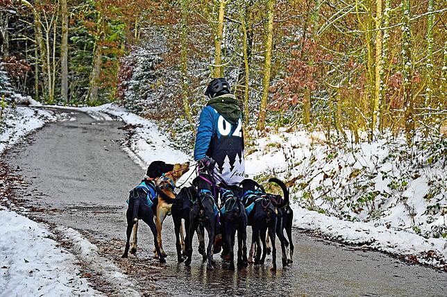 Vor dem Wettbewerb steht der Musher in besonders engem Kontakt zu seinen Tieren.