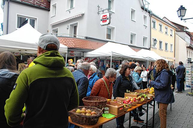 Sabrina Molkenthin (rechts) bot vor dem Umweltzentrum viele verschiedene Apfelsorten zum Verkosten an. Drinnen konnte man eigene Äpfel ...