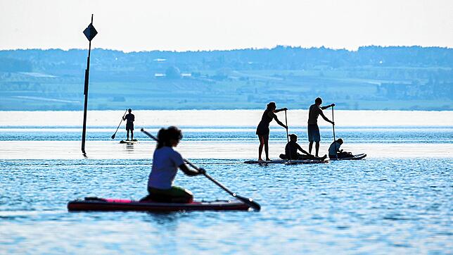 Vier Stand-up-Paddler fahren auf dem Bodensee.